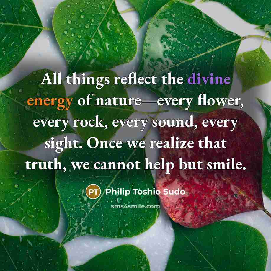 “All things reflect the divine energy of nature—every flower, every rock, every sound, every sight. Once we realize that truth, we cannot help but smile.” quote by Philip Toshio Sudo