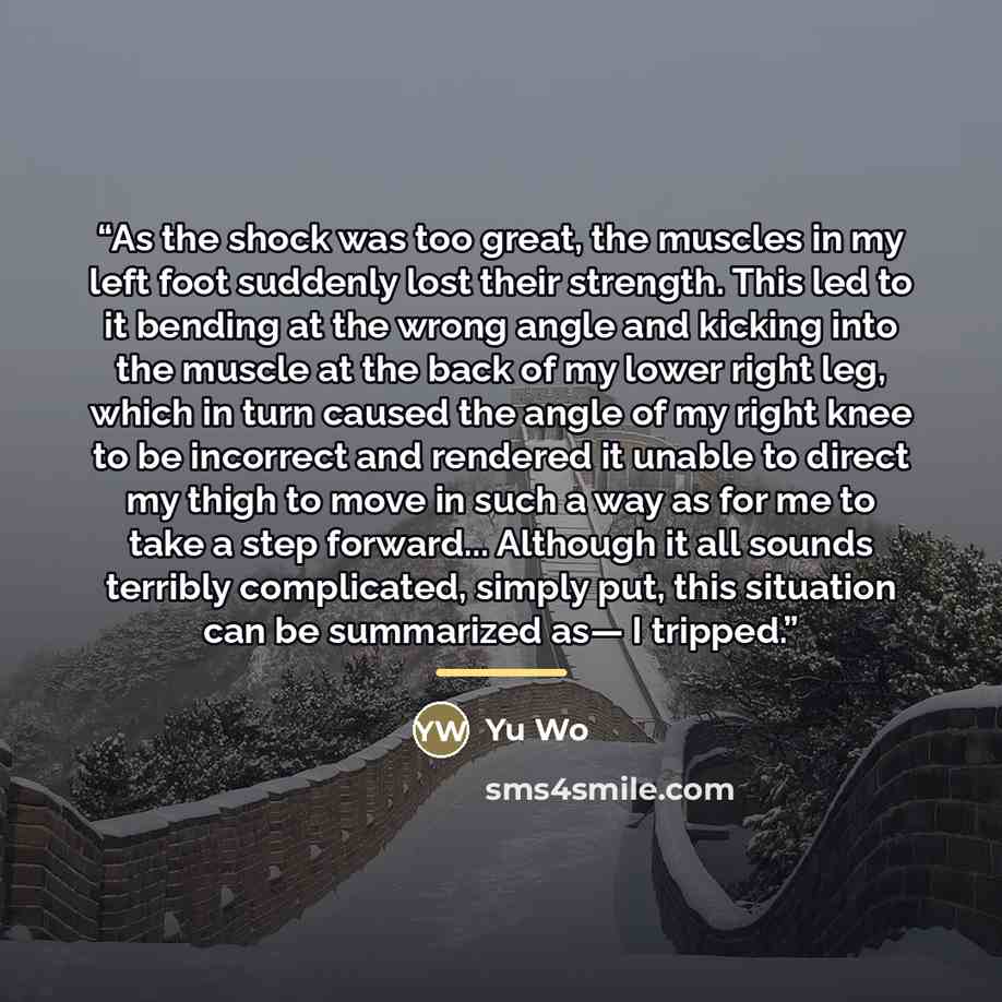 “As the shock was too great, the muscles in my left foot suddenly lost their strength. This led to it bending at the wrong angle and kicking into the muscle at the back of my lower right leg, which in turn caused the angle of my right knee to be incorrect and rendered it unable to direct my thigh…” quote by Yu Wo