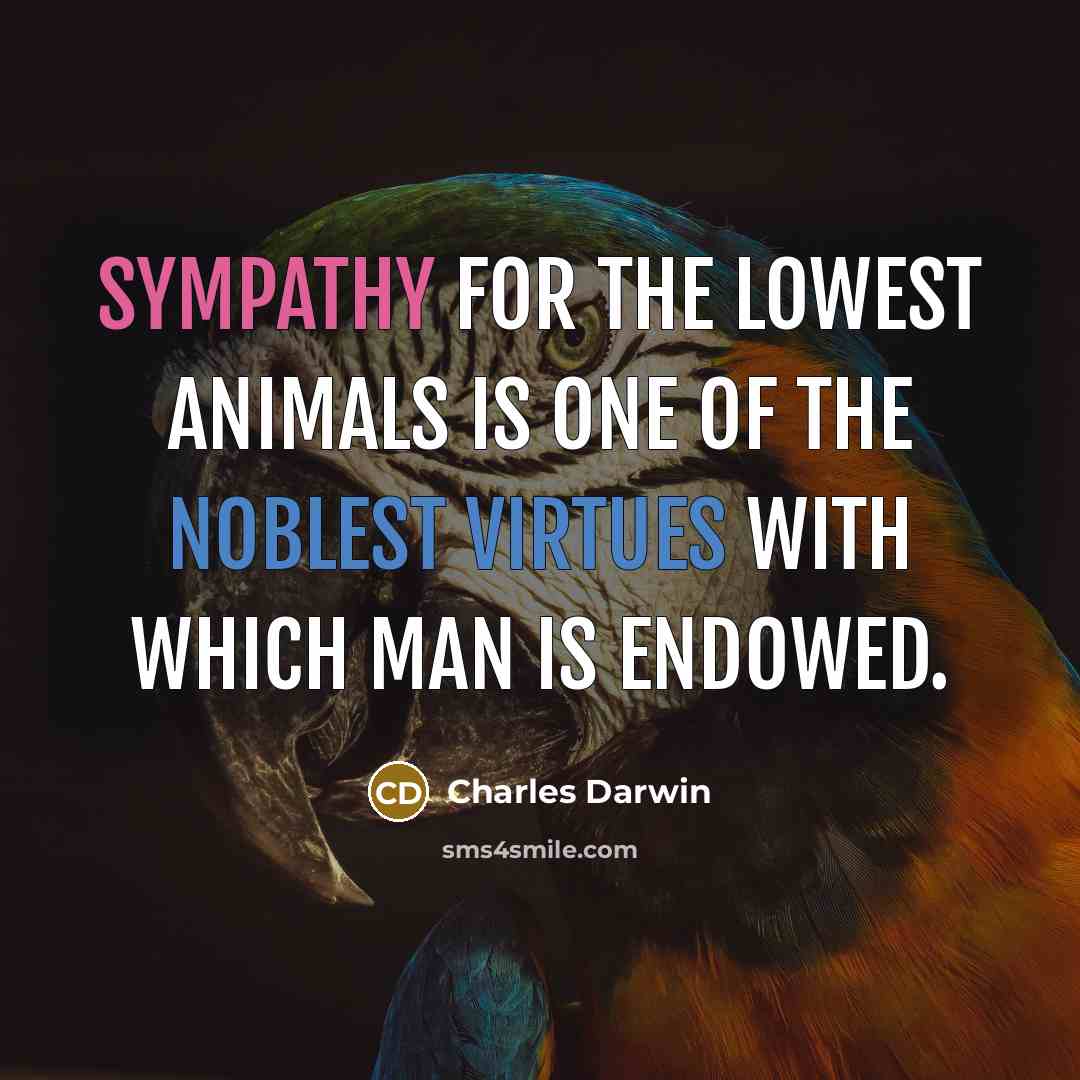 “Sympathy for the lowest animals is one of the noblest virtues with which man is endowed.” quote by Charles Darwin