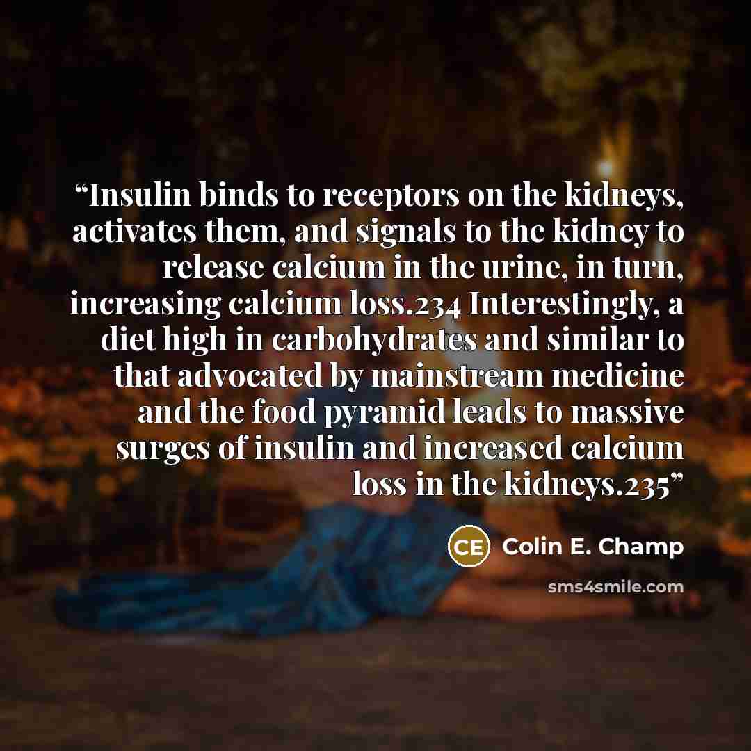 “Insulin binds to receptors on the kidneys, activates them, and signals to the kidney to release calcium in the urine, in turn, increasing calcium loss.234 Interestingly, a diet high in carbohydrates and similar to that advocated by mainstream medicine and the food pyramid leads to massive surges…” quote by Colin E. Champ