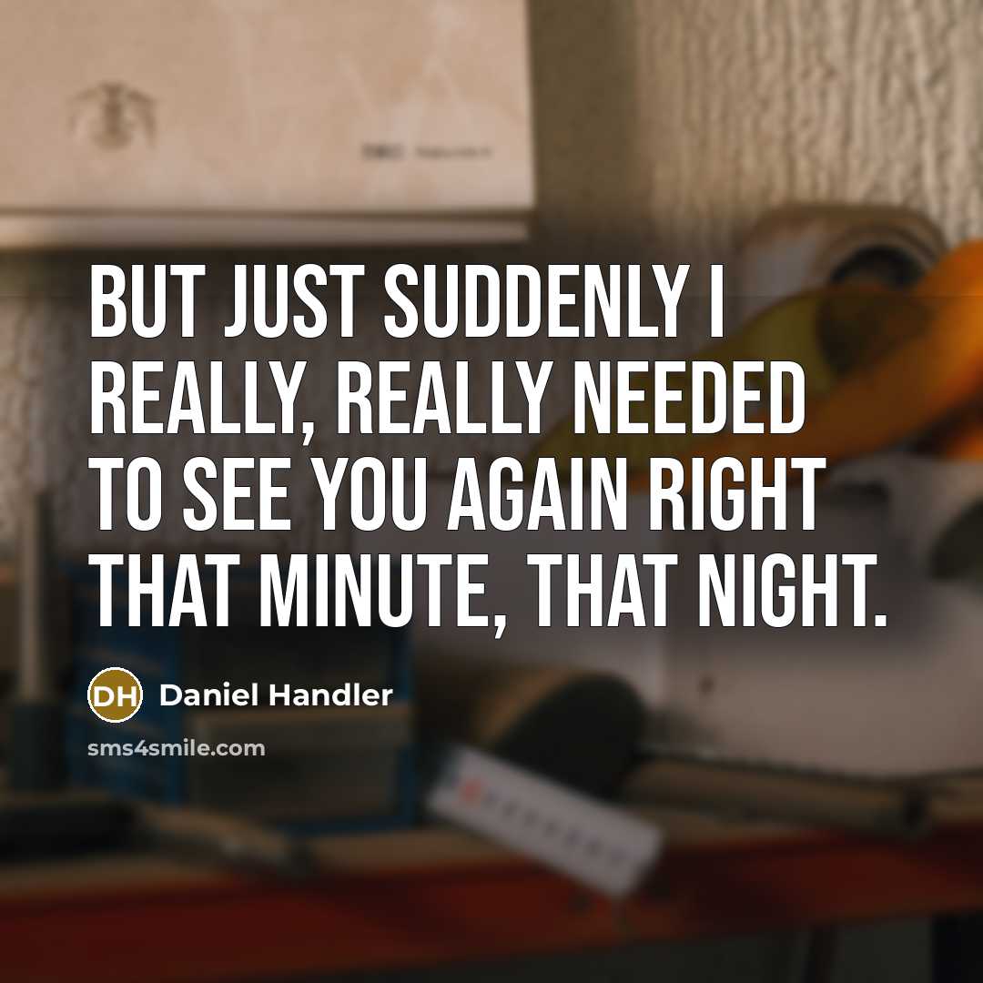 “But just suddenly I really, really needed to see you again right that minute, that night.” quote by Daniel Handler