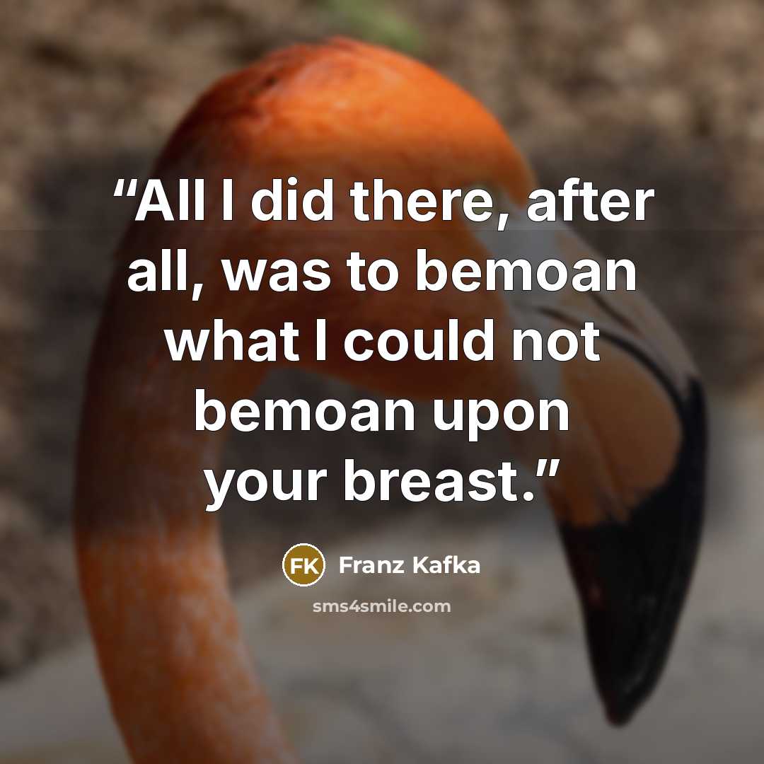 “All I did there, after all, was to bemoan what I could not bemoan upon your breast.” quote by Franz Kafka