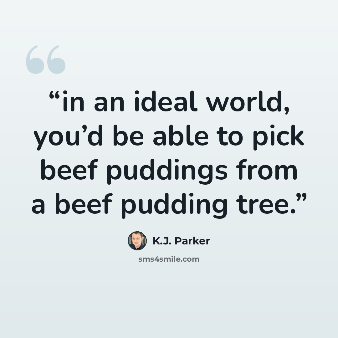 “in an ideal world, you’d be able to pick beef puddings from a beef pudding tree.” quote by K.J. Parker