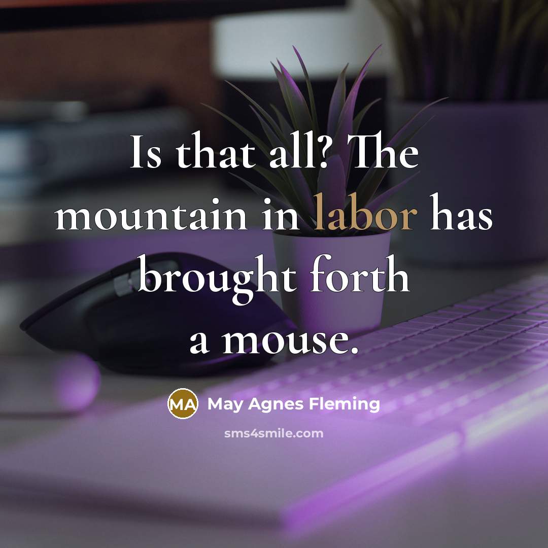 “Is that all? The mountain in labor has brought forth a mouse.” quote by May Agnes Fleming