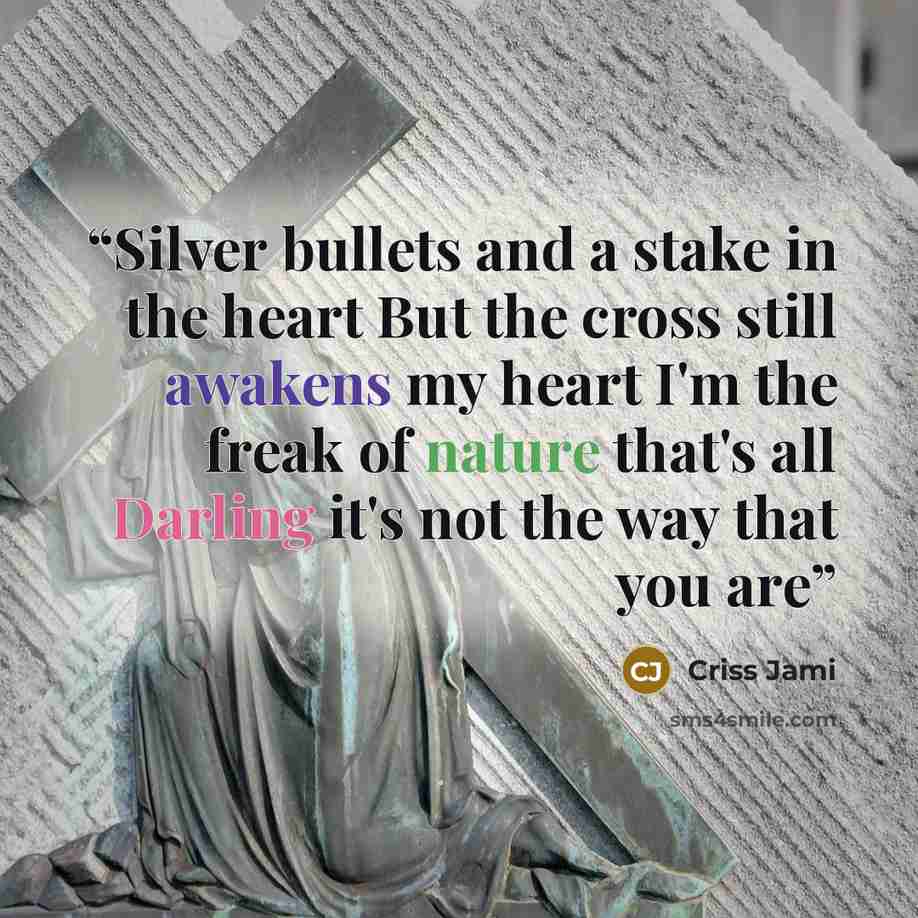 “Silver bullets and a stake in the heart But the cross still awakens my heart I'm the freak of nature that's all Darling it's not the way that you are” quote by Criss Jami