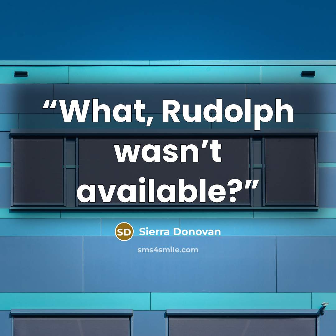 “What, Rudolph wasn’t available?” quote by Sierra Donovan