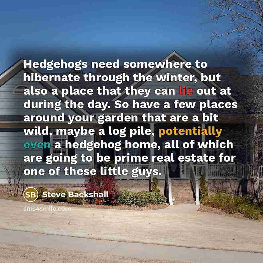 “Hedgehogs need somewhere to hibernate through the winter, but also a place that they can lie out at during the day. So have a few places around your garden that are a bit wild, maybe a log pile, potentially even a hedgehog home, all of which are going to be prime real estate for one of these…” quote by Steve Backshall