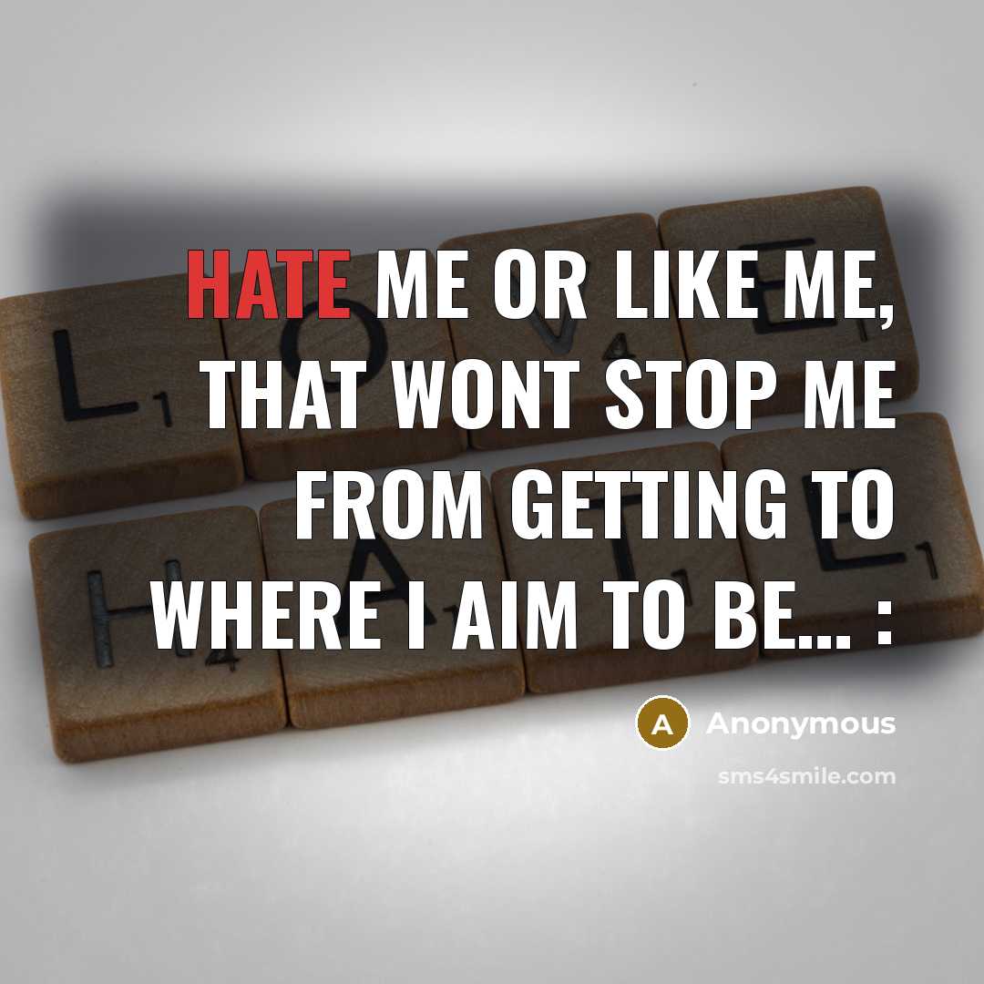 “Hate me or like me, that wont stop me from getting to where I aim to be… :” quote by Anonymous