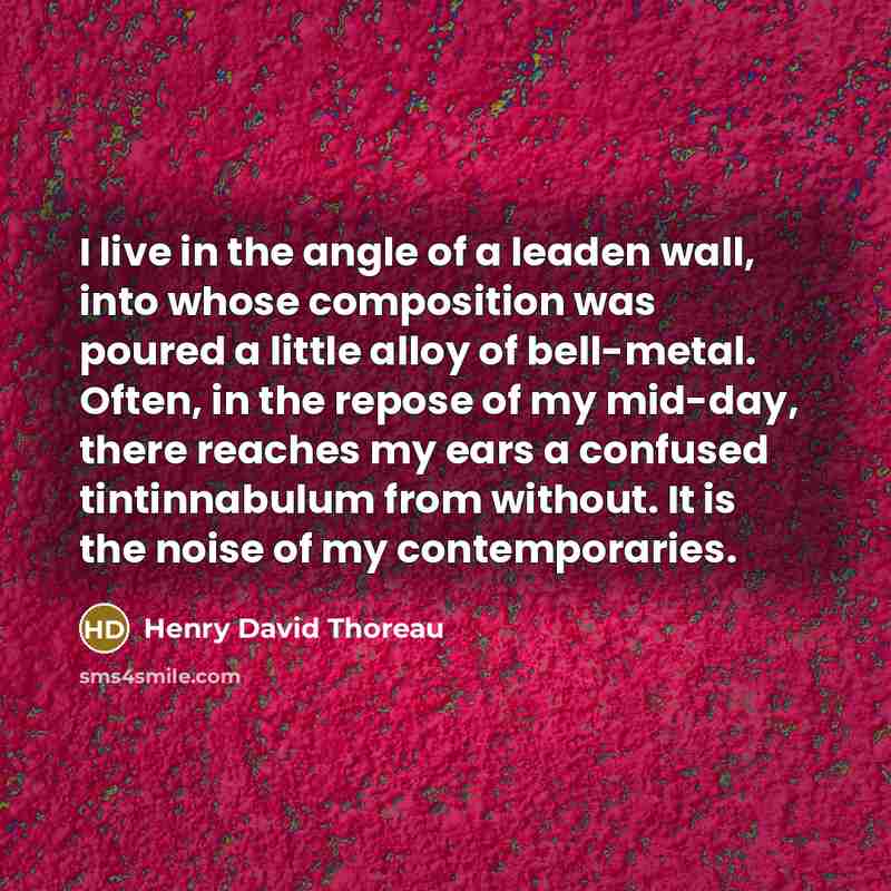 “I live in the angle of a leaden wall, into whose composition was poured a little alloy of bell-metal. Often, in the repose of my mid-day, there reaches my ears a confused tintinnabulum from without. It is the noise of my contemporaries.” quote by Henry David Thoreau