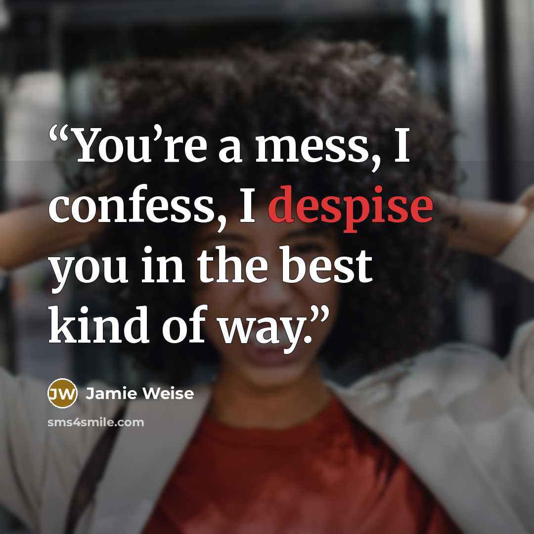 “You’re a mess, I confess, I despise you in the best kind of way.” quote by Jamie Weise