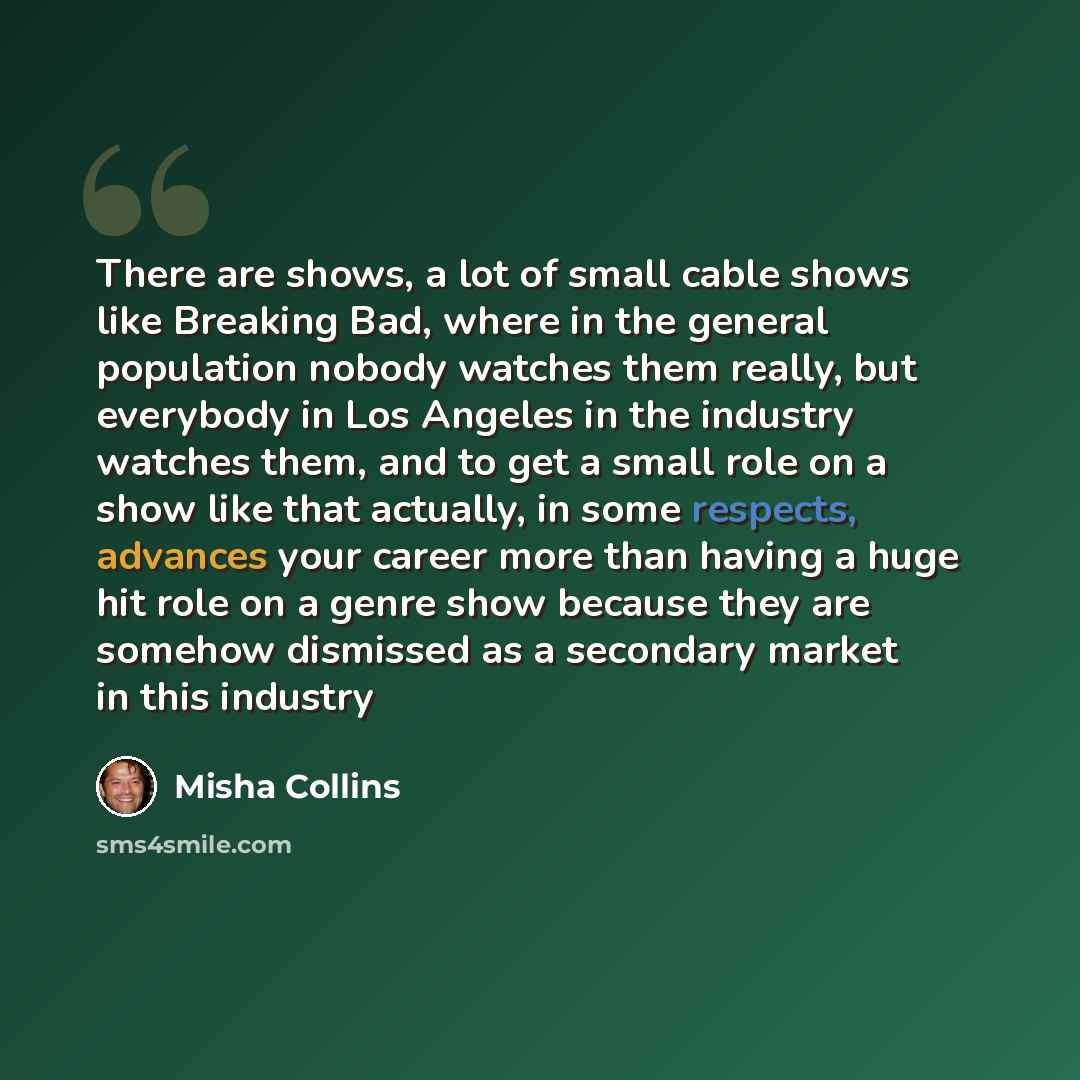 “There are shows, a lot of small cable shows like Breaking Bad, where in the general population nobody watches them really, but everybody in Los Angeles in the industry watches them, and to get a small role on a show like that actually, in some respects, advances your career more than having a huge…” quote by Misha Collins