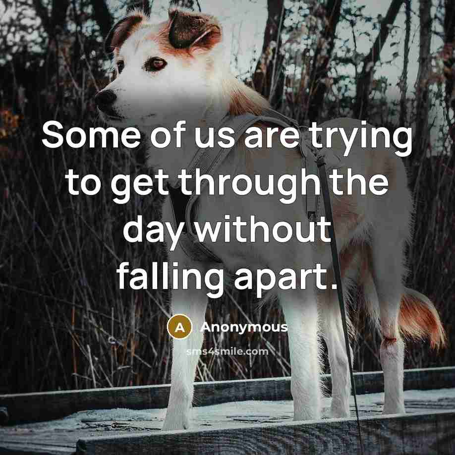 “Some of us are trying to get through the day without falling apart.” quote by Anonymous