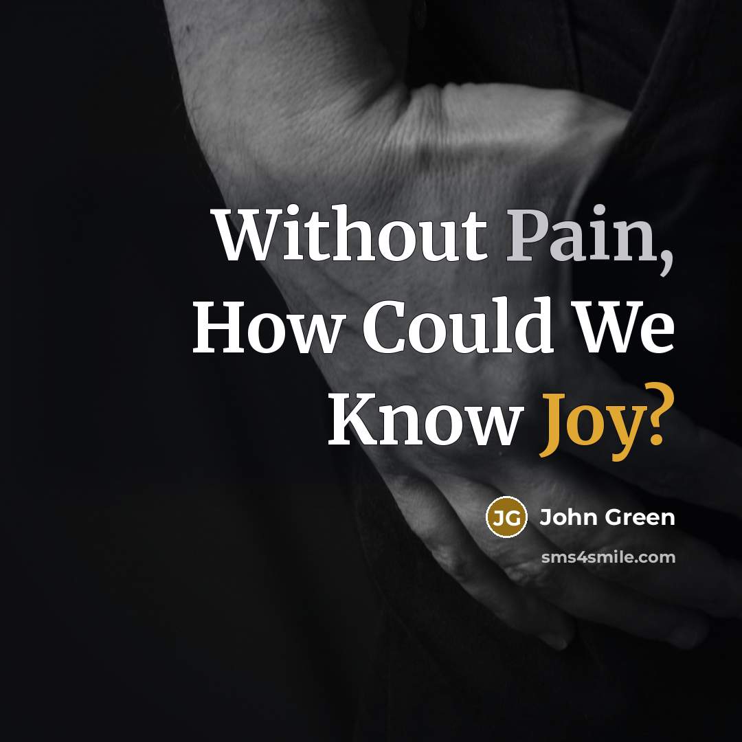 “Without Pain, How Could We Know Joy?” quote by John Green