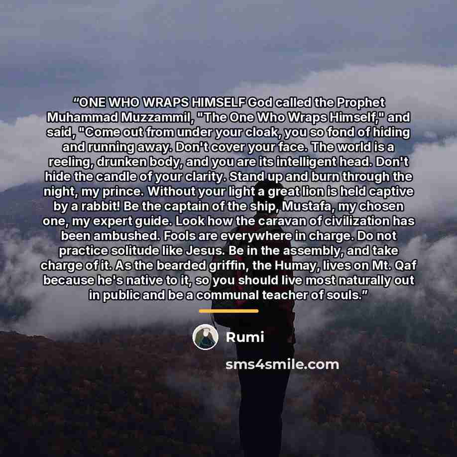 “ONE WHO WRAPS HIMSELF God called the Prophet Muhammad Muzzammil, "The One Who Wraps Himself," and said, "Come out from under your cloak, you so fond of hiding and running away. Don't cover your face. The world is a reeling, drunken body, and you are its intelligent head. Don't hide the candle of…” quote by Rumi