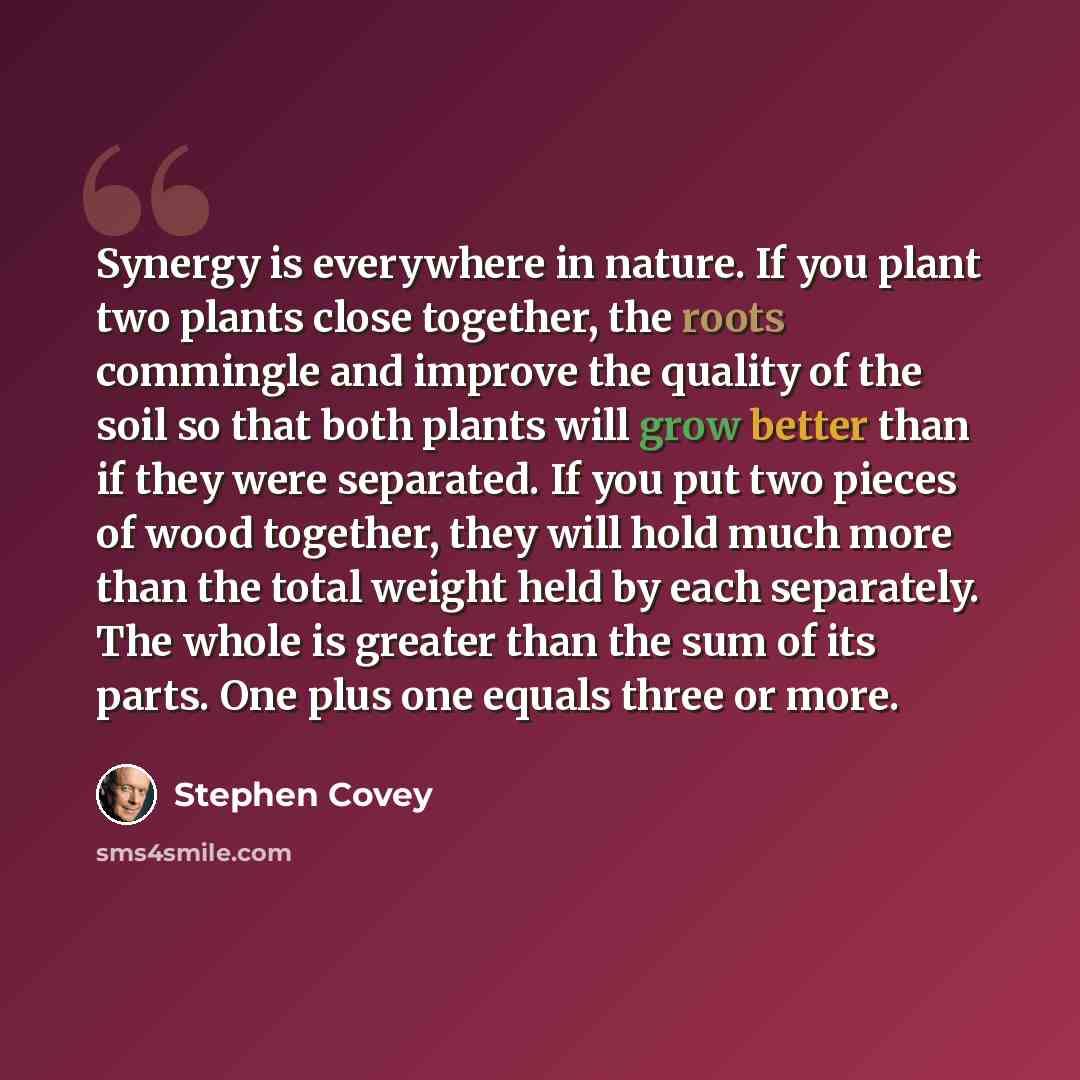 “Synergy is everywhere in nature. If you plant two plants close together, the roots commingle and improve the quality of the soil so that both plants will grow better than if they were separated. If you put two pieces of wood together, they will hold much more than the total weight held by each…” quote by Stephen Covey