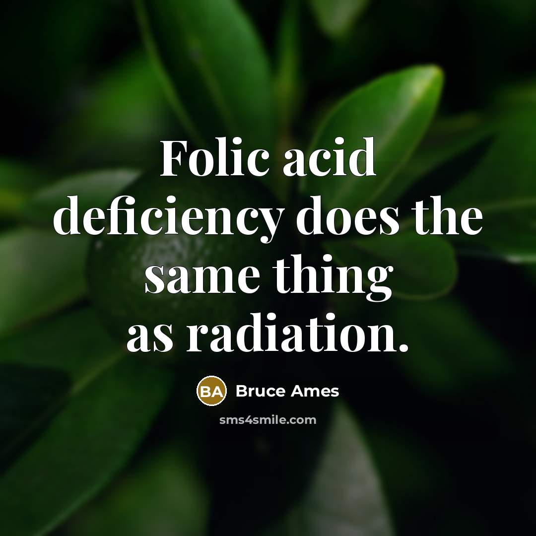 “Folic acid deficiency does the same thing as radiation.” quote by Bruce Ames
