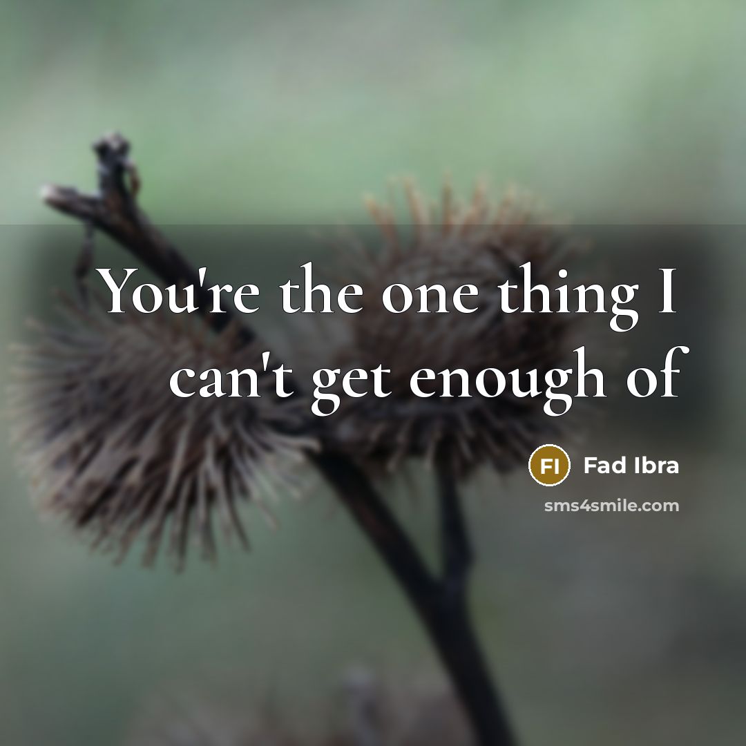 “You're the one thing I can't get enough of” quote by Fad Ibra