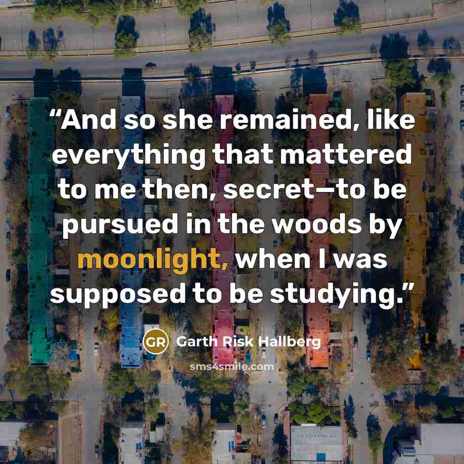 “And so she remained, like everything that mattered to me then, secret—to be pursued in the woods by moonlight, when I was supposed to be studying.” quote by Garth Risk Hallberg