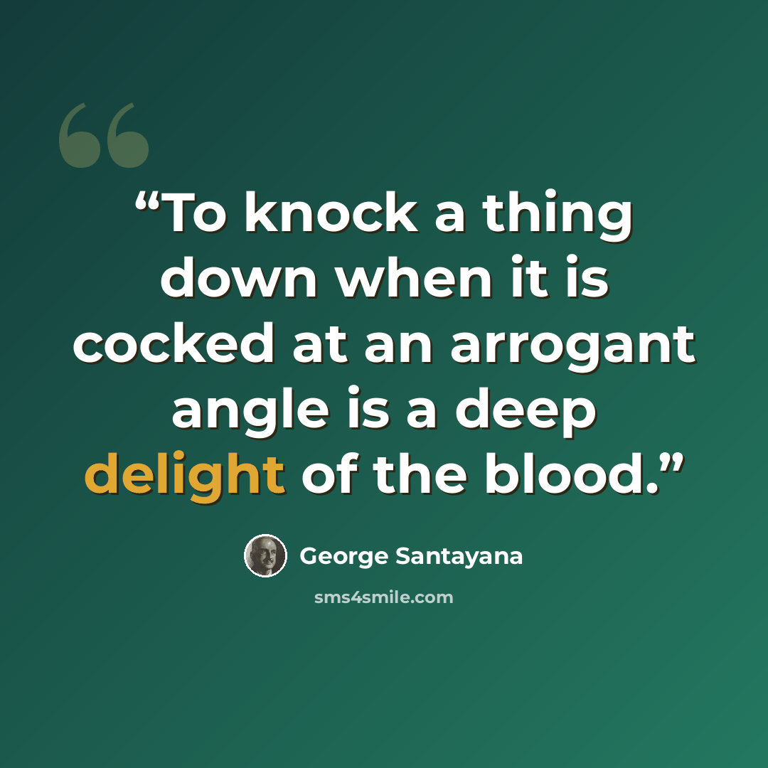 “To knock a thing down when it is cocked at an arrogant angle is a deep delight of the blood.” quote by George Santayana