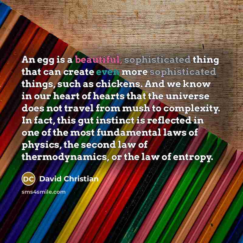 “An egg is a beautiful, sophisticated thing that can create even more sophisticated things, such as chickens. And we know in our heart of hearts that the universe does not travel from mush to complexity. In fact, this gut instinct is reflected in one of the most fundamental laws of physics, the…” quote by David Christian