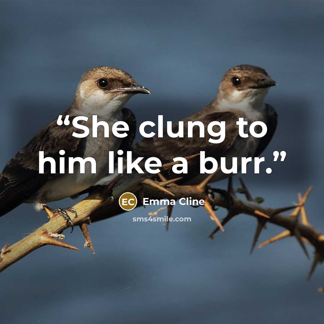 “She clung to him like a burr.” quote by Emma Cline
