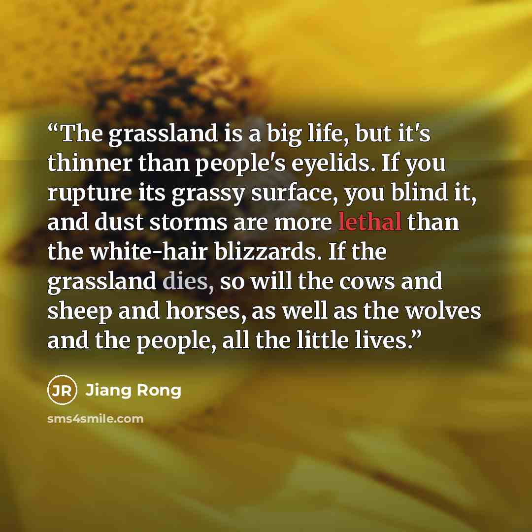 “The grassland is a big life, but it's thinner than people's eyelids. If you rupture its grassy surface, you blind it, and dust storms are more lethal than the white-hair blizzards. If the grassland dies, so will the cows and sheep and horses, as well as the wolves and the people, all the little…” quote by Jiang Rong