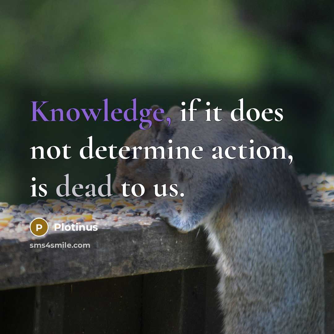 “Knowledge, if it does not determine action, is dead to us.” quote by Plotinus