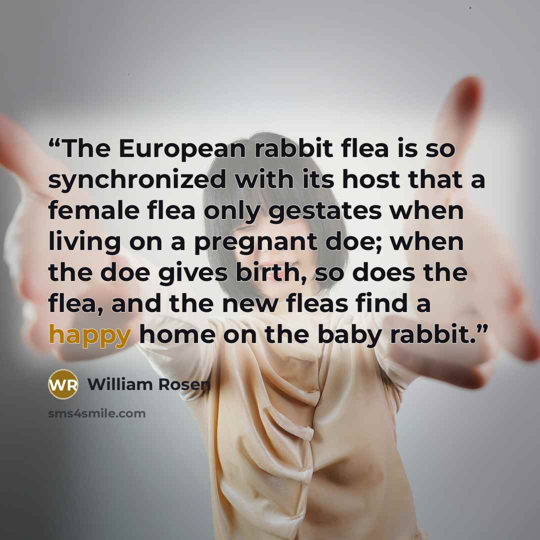 “The European rabbit flea is so synchronized with its host that a female flea only gestates when living on a pregnant doe; when the doe gives birth, so does the flea, and the new fleas find a happy home on the baby rabbit.” quote by William Rosen