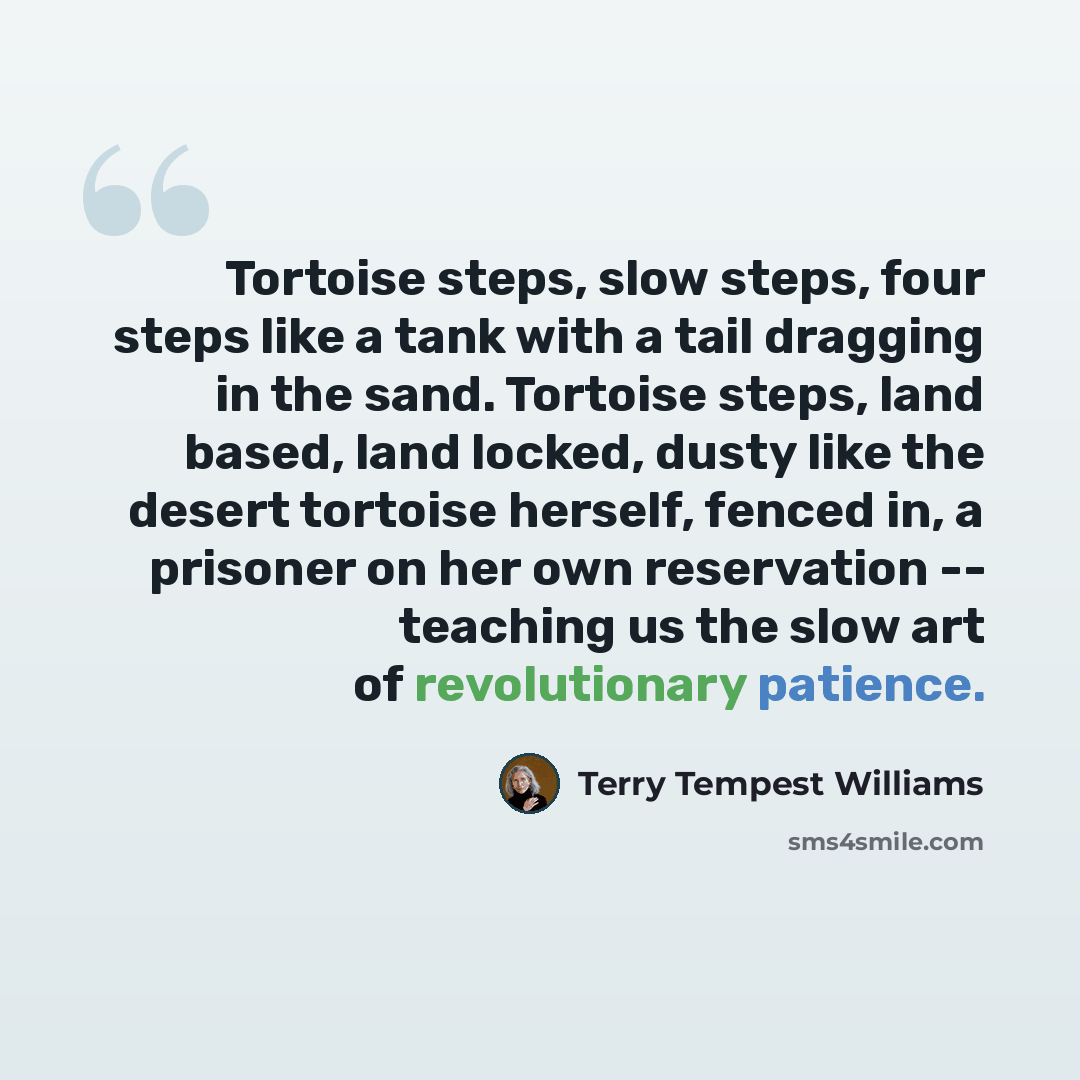 “Tortoise steps, slow steps, four steps like a tank with a tail dragging in the sand. Tortoise steps, land based, land locked, dusty like the desert tortoise herself, fenced in, a prisoner on her own reservation -- teaching us the slow art of revolutionary patience.” quote by Terry Tempest Williams