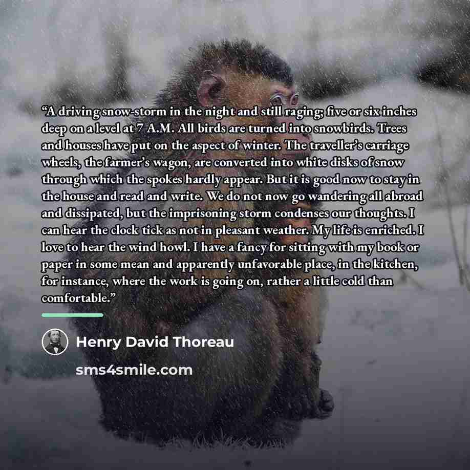 “A driving snow-storm in the night and still raging; five or six inches deep on a level at 7 A.M. All birds are turned into snowbirds. Trees and houses have put on the aspect of winter. The traveller’s carriage wheels, the farmer’s wagon, are converted into white disks of snow through which the…” quote by Henry David Thoreau