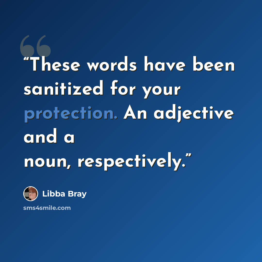 “These words have been sanitized for your protection. An adjective and a noun, respectively.” quote by Libba Bray