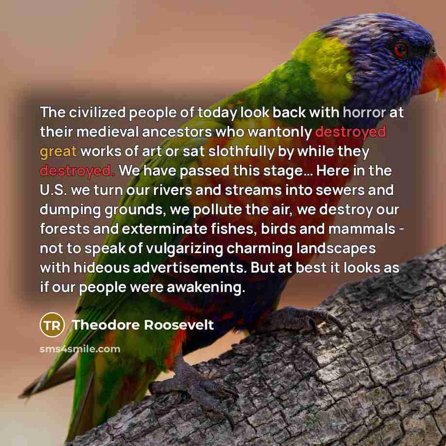“The civilized people of today look back with horror at their medieval ancestors who wantonly destroyed great works of art or sat slothfully by while they destroyed. We have passed this stage… Here in the U.S. we turn our rivers and streams into sewers and dumping grounds, we pollute the air, we…” quote by Theodore Roosevelt