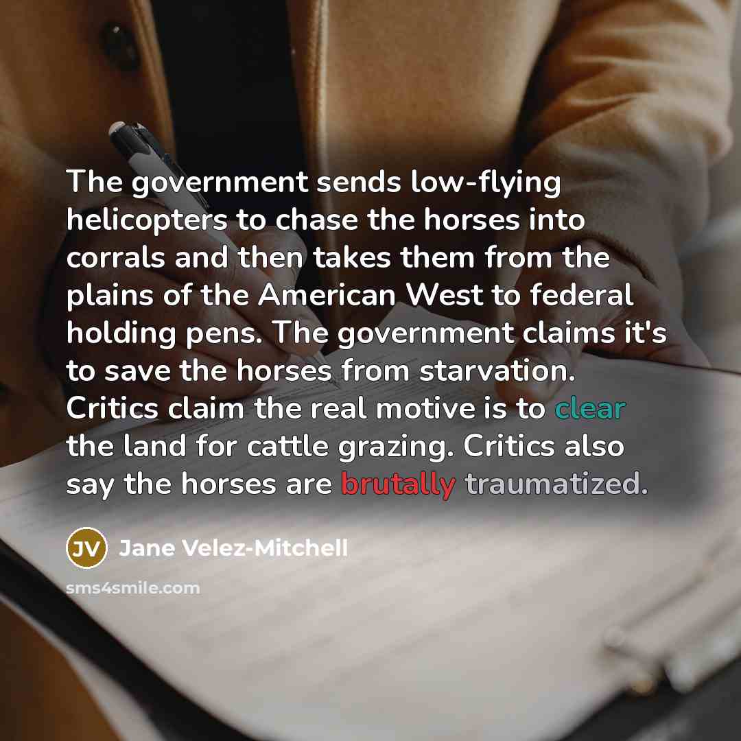 “The government sends low-flying helicopters to chase the horses into corrals and then takes them from the plains of the American West to federal holding pens. The government claims it's to save the horses from starvation. Critics claim the real motive is to clear the land for cattle grazing…” quote by Jane Velez-Mitchell
