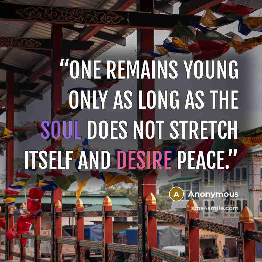 “one remains young only as long as the soul does not stretch itself and desire peace.” quote by Anonymous
