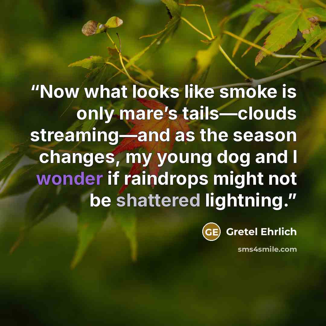 “Now what looks like smoke is only mare’s tails—clouds streaming—and as the season changes, my young dog and I wonder if raindrops might not be shattered lightning.” quote by Gretel Ehrlich