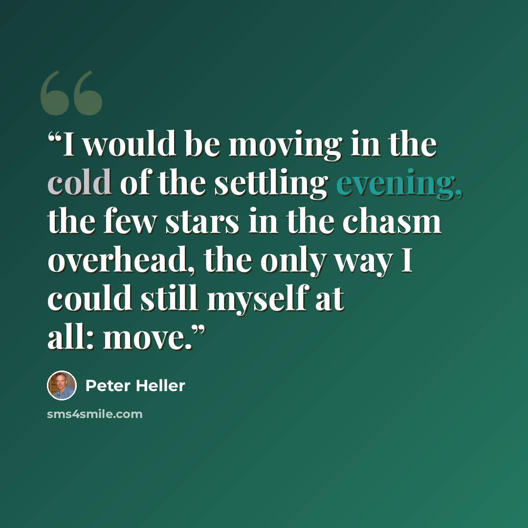 “I would be moving in the cold of the settling evening, the few stars in the chasm overhead, the only way I could still myself at all: move.” quote by Peter Heller