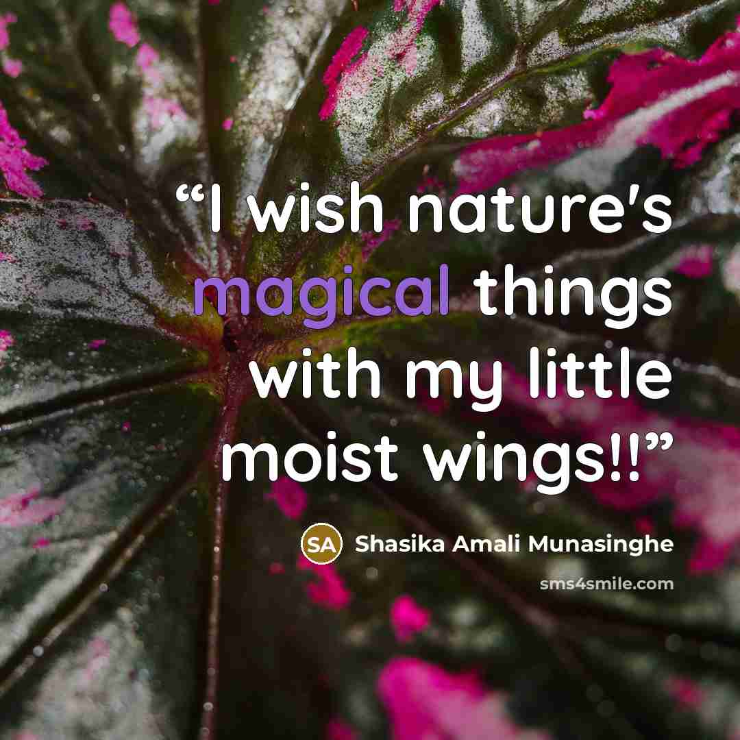 “I wish nature's magical things with my little moist wings!!” quote by Shasika Amali Munasinghe