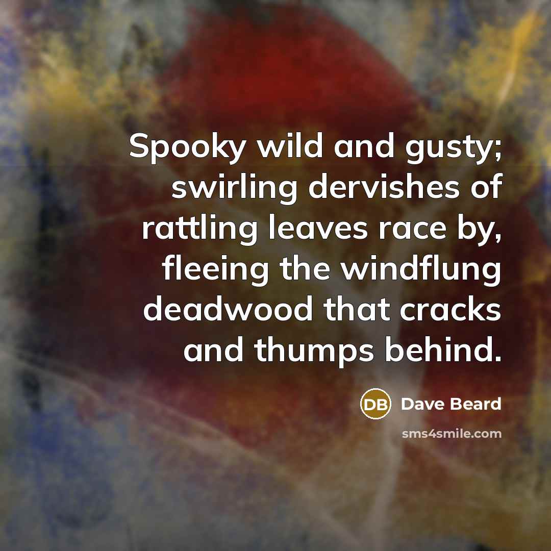 “Spooky wild and gusty; swirling dervishes of rattling leaves race by, fleeing the windflung deadwood that cracks and thumps behind.” quote by Dave Beard