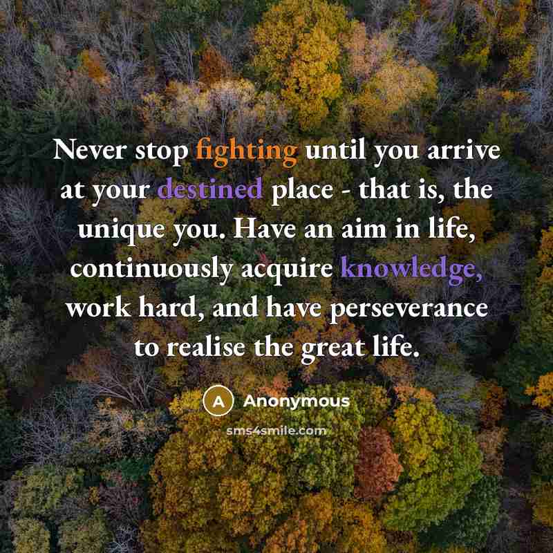 “Never stop fighting until you arrive at your destined place - that is, the unique you. Have an aim in life, continuously acquire knowledge, work hard, and have perseverance to realise the great life.” quote by Anonymous