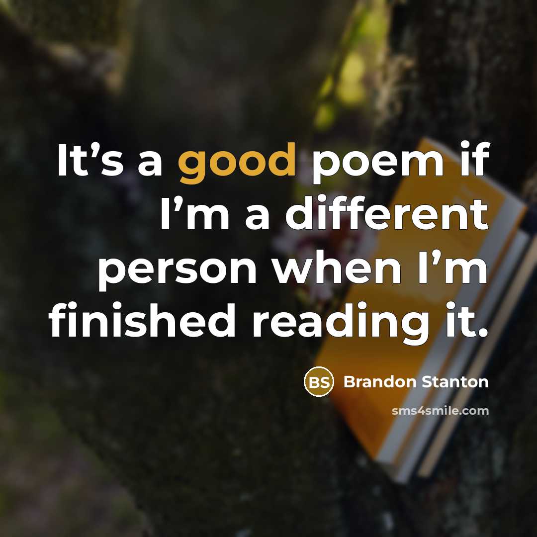 “It’s a good poem if I’m a different person when I’m finished reading it.” quote by Brandon Stanton