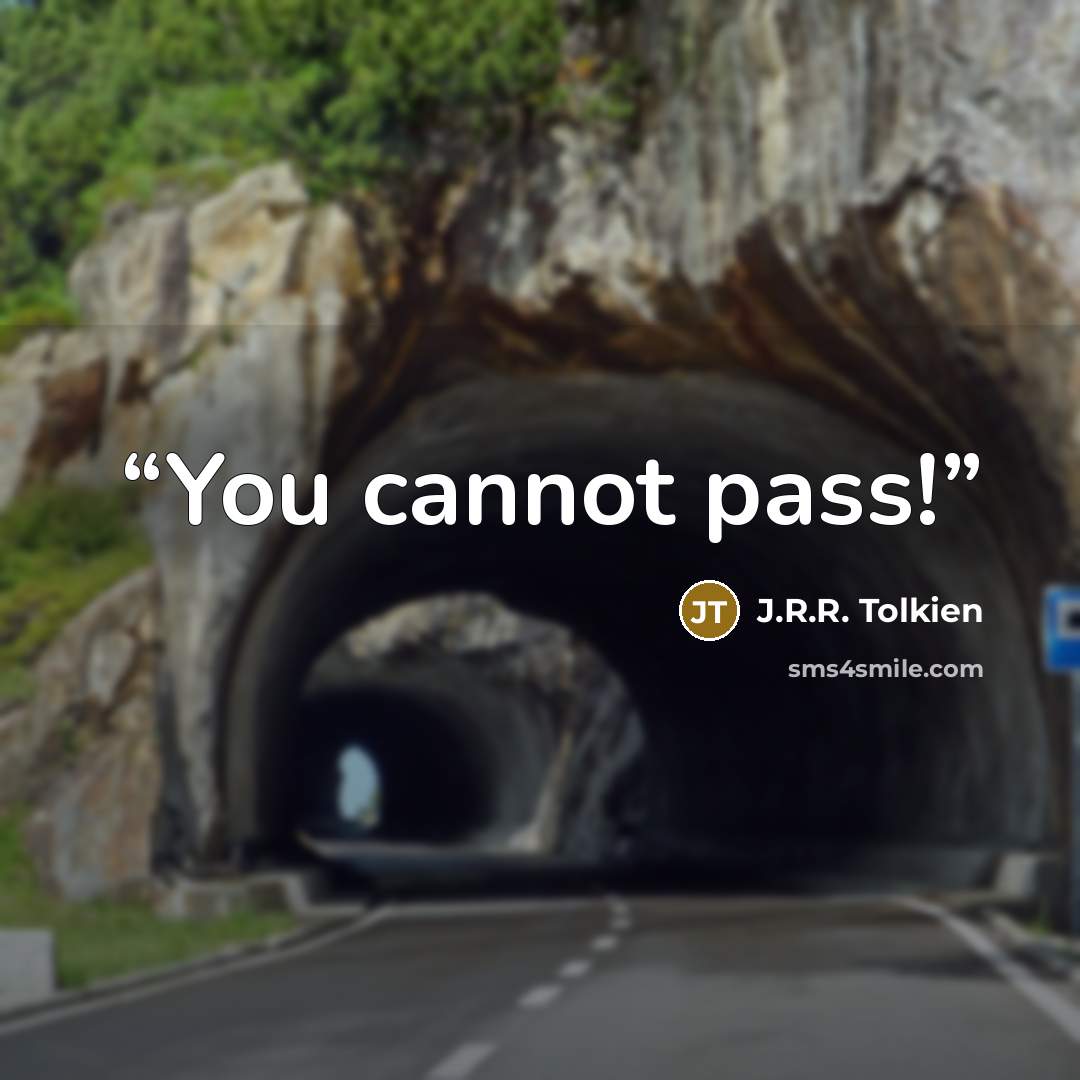 “You cannot pass!” quote by J.R.R. Tolkien