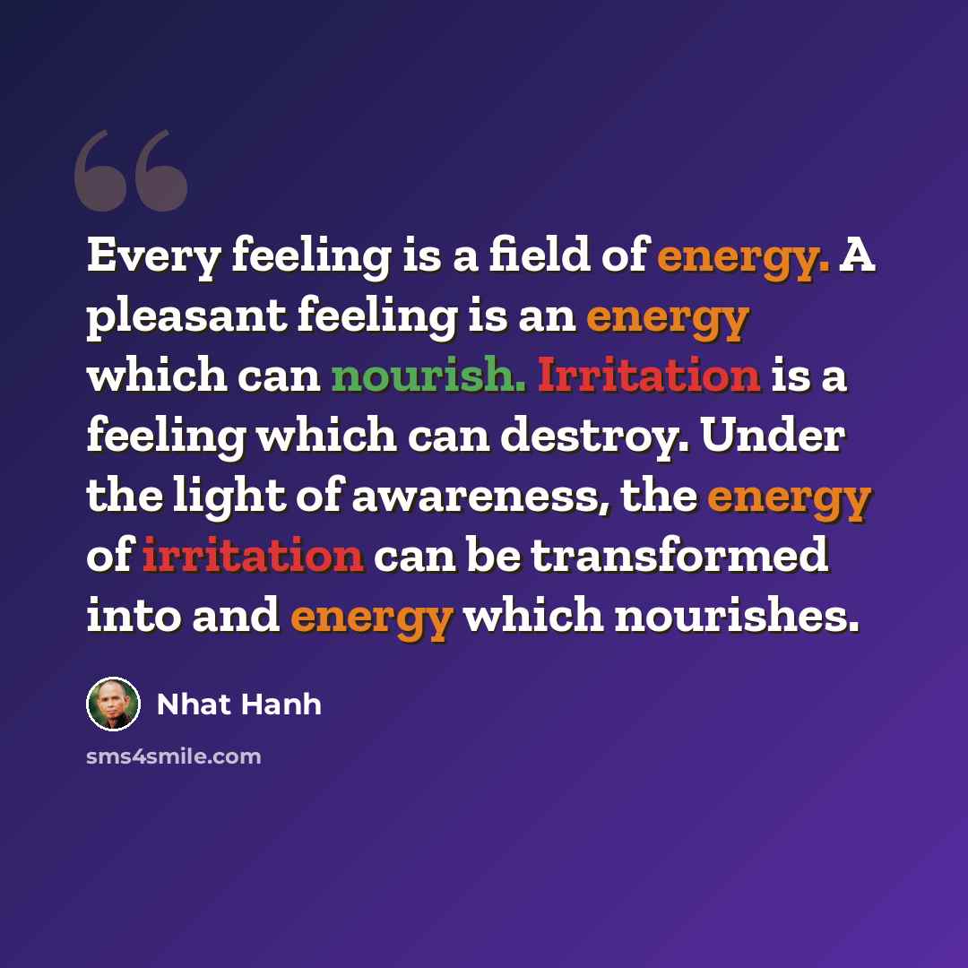 “Every feeling is a field of energy. A pleasant feeling is an energy which can nourish. Irritation is a feeling which can destroy. Under the light of awareness, the energy of irritation can be transformed into and energy which nourishes.” quote by Nhat Hanh