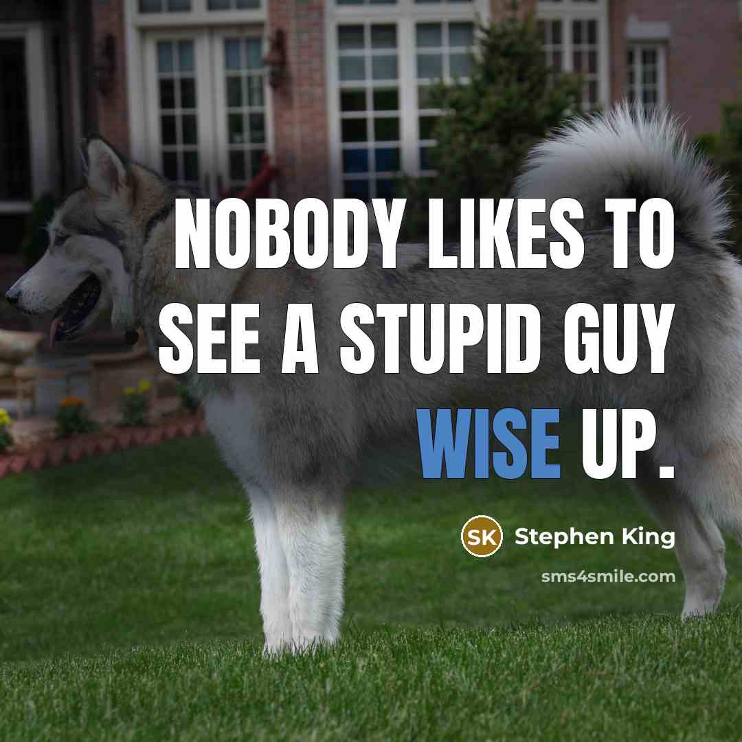 “Nobody likes to see a stupid guy wise up.” quote by Stephen King
