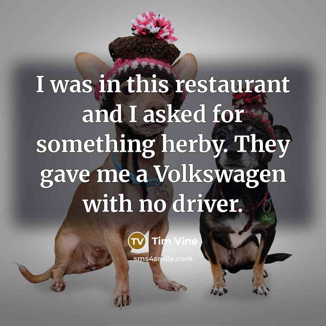 “I was in this restaurant and I asked for something herby. They gave me a Volkswagen with no driver.” quote by Tim Vine