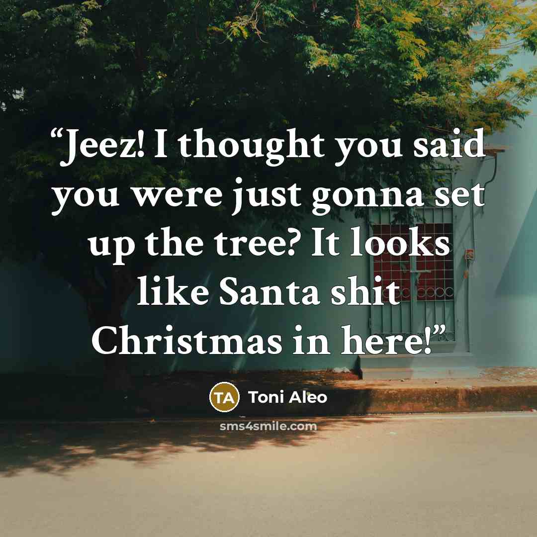 “Jeez! I thought you said you were just gonna set up the tree? It looks like Santa shit Christmas in here!” quote by Toni Aleo