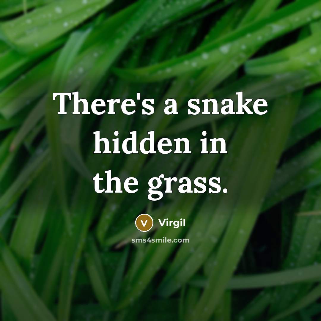 “There's a snake hidden in the grass.” quote by Virgil