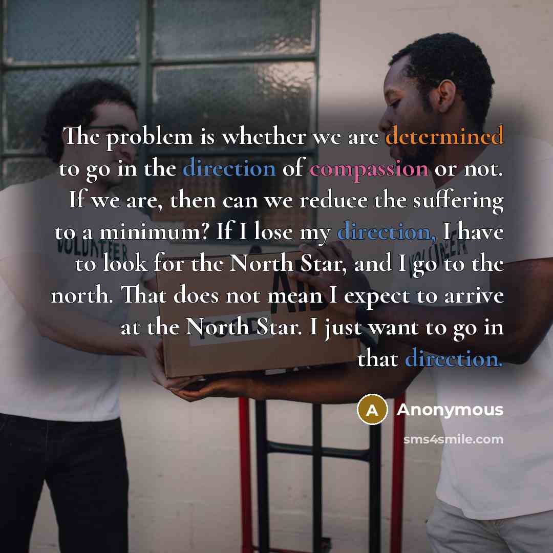 “The problem is whether we are determined to go in the direction of compassion or not. If we are, then can we reduce the suffering to a minimum? If I lose my direction, I have to look for the North Star, and I go to the north. That does not mean I expect to arrive at the North Star. I just want to…” quote by Anonymous