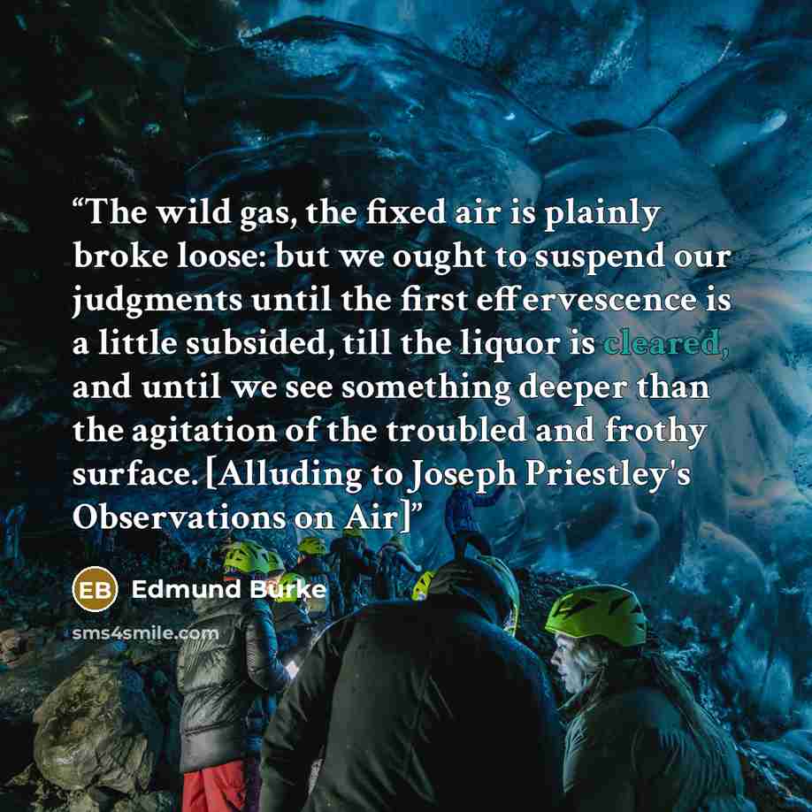 “The wild gas, the fixed air is plainly broke loose: but we ought to suspend our judgments until the first effervescence is a little subsided, till the liquor is cleared, and until we see something deeper than the agitation of the troubled and frothy surface. [Alluding to Joseph Priestley's…” quote by Edmund Burke