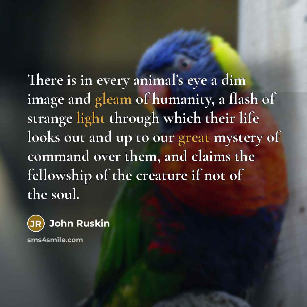 “There is in every animal's eye a dim image and gleam of humanity, a flash of strange light through which their life looks out and up to our great mystery of command over them, and claims the fellowship of the creature if not of the soul.” quote by John Ruskin