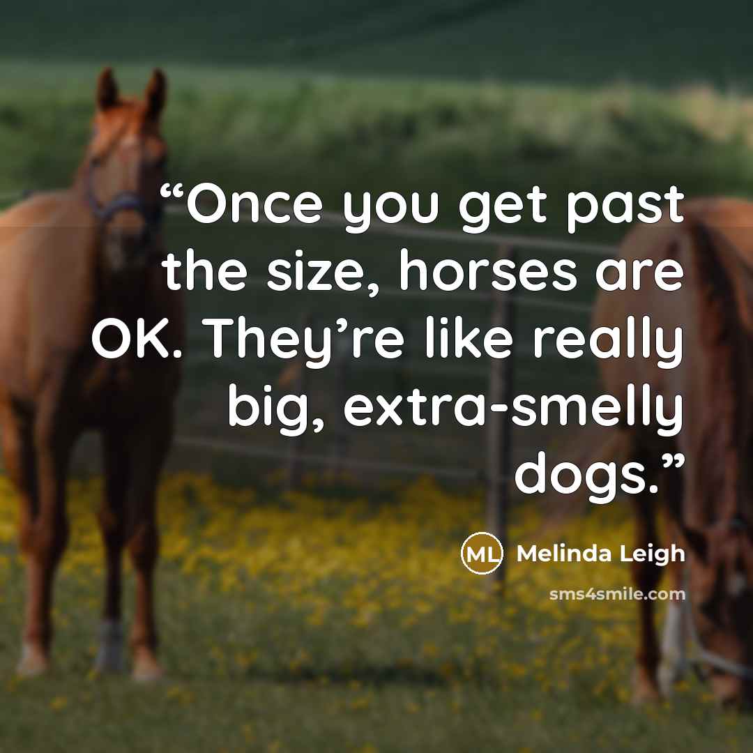 “Once you get past the size, horses are OK. They’re like really big, extra-smelly dogs.” quote by Melinda Leigh